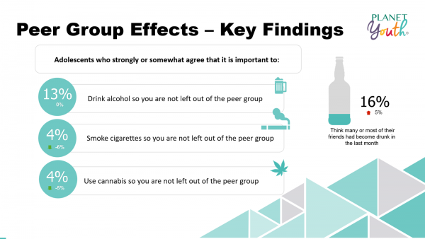 Peer Group Effects Key Findings